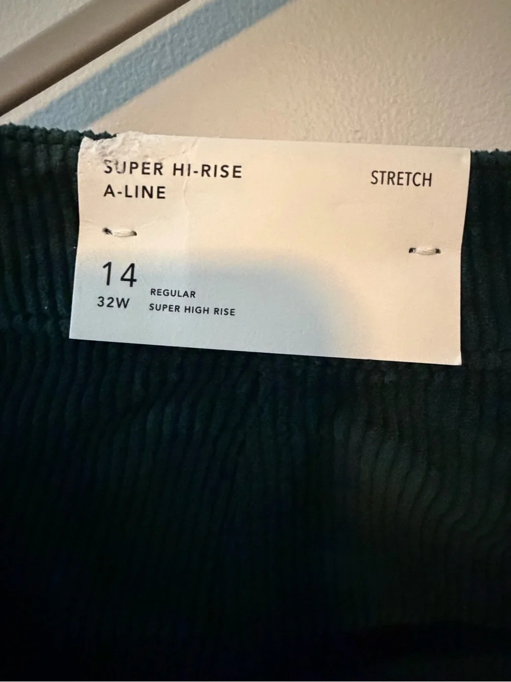 NWT American Eagle Outfitters Dark Green Corduroy Button-Front Mini Skirt